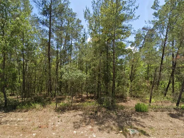 6230 W Oak Park Blvd, Homosassa, FL 34446