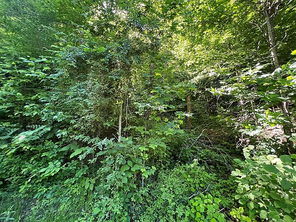 4th image of LOT 8 Apache Rd