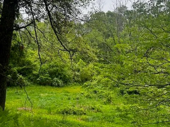 1300 Sargent Avenue SE, Ada Township, MI 49301