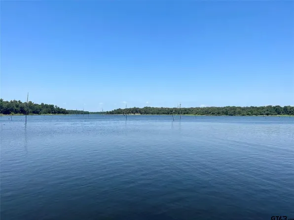 1 Angler Shores Dr, Yantis, TX 75497