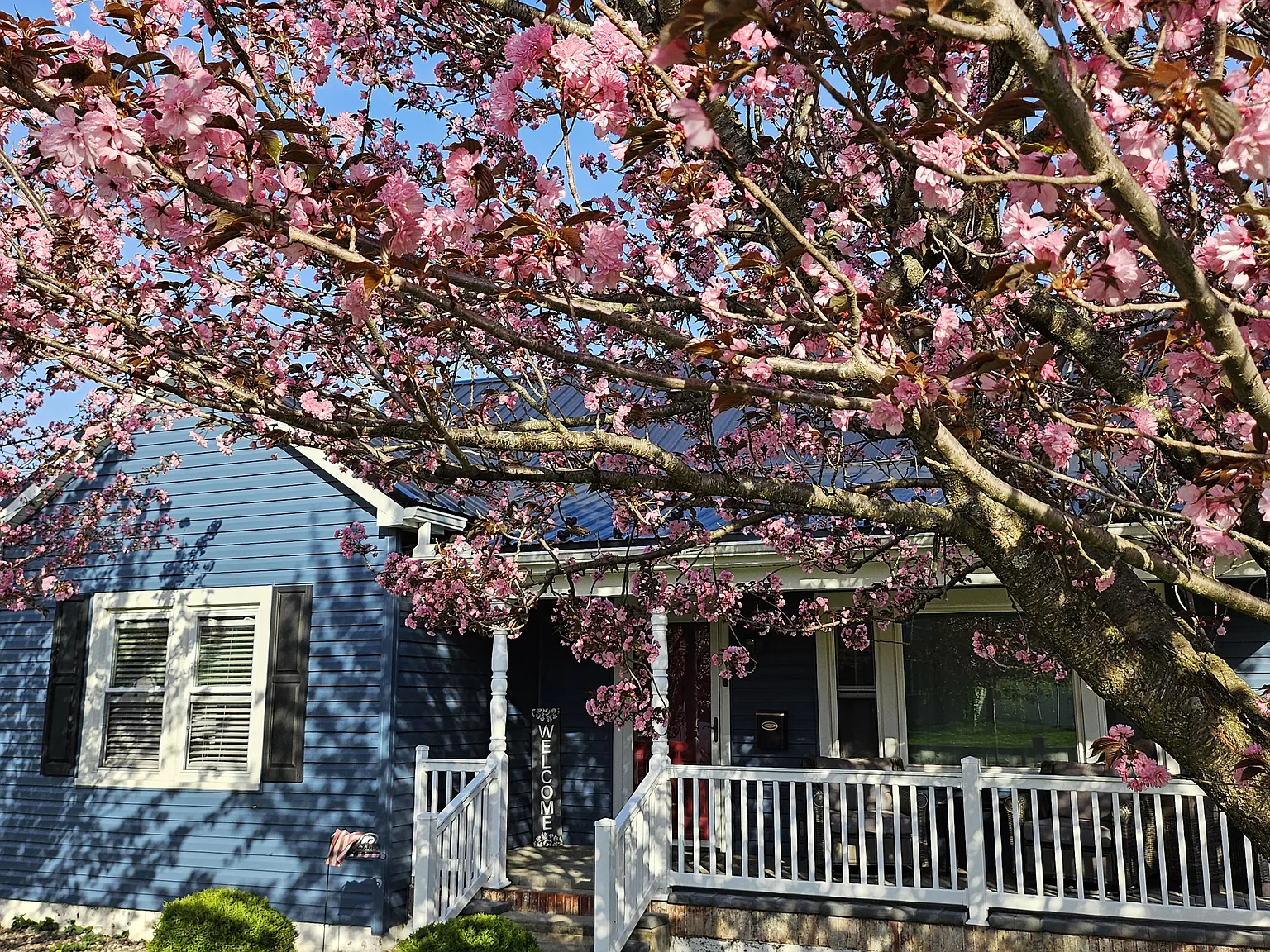 3 bed, 1.5 bath, 1800 sqft, $2,000 — Photo 2