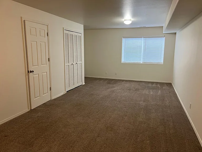 basement. Single door is closet under stairs, HVAC system other doors