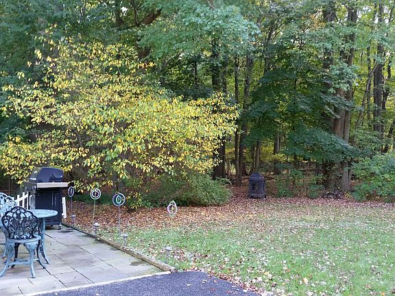 Patio/Yard