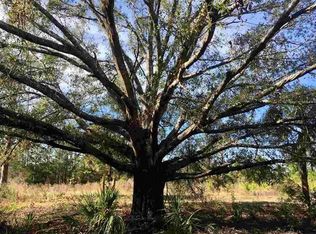 3165 County Road 208 LOT F, St Augustine, FL 32092