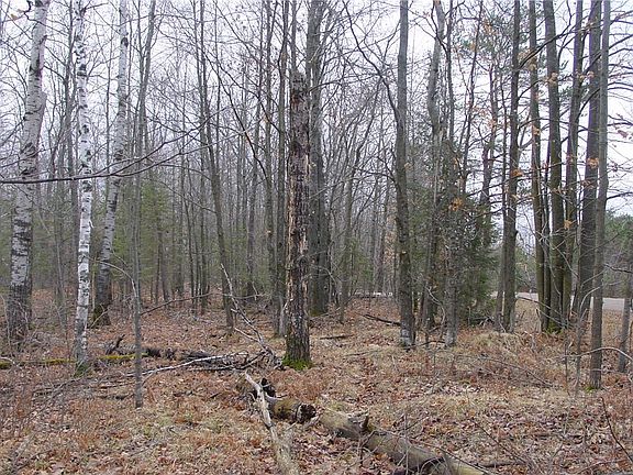 2nd image of 25 Acres Mae West Road