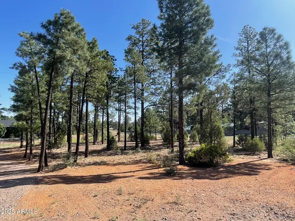 101 W PINE HAVEN Circle #8, Show Low, AZ 85901