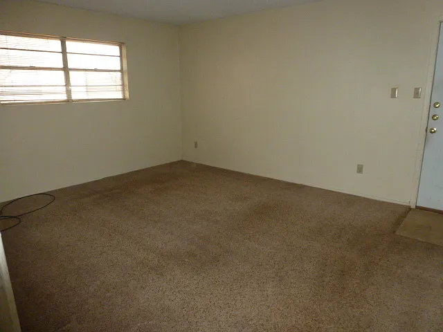927 Minter Ln — Photo 10