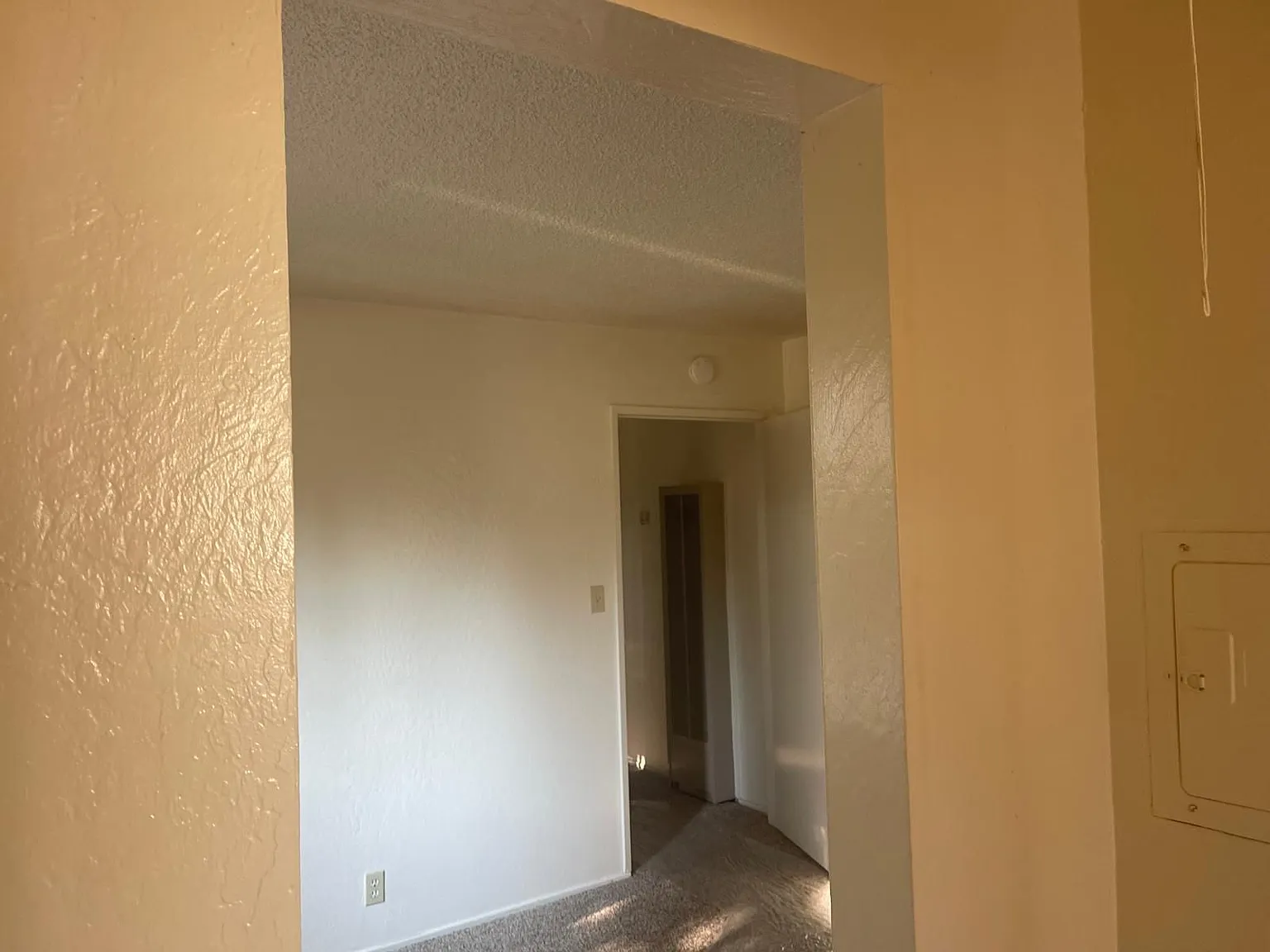 1 bed, 1.0 bath, 485 sqft, $1,500 — Photo 2
