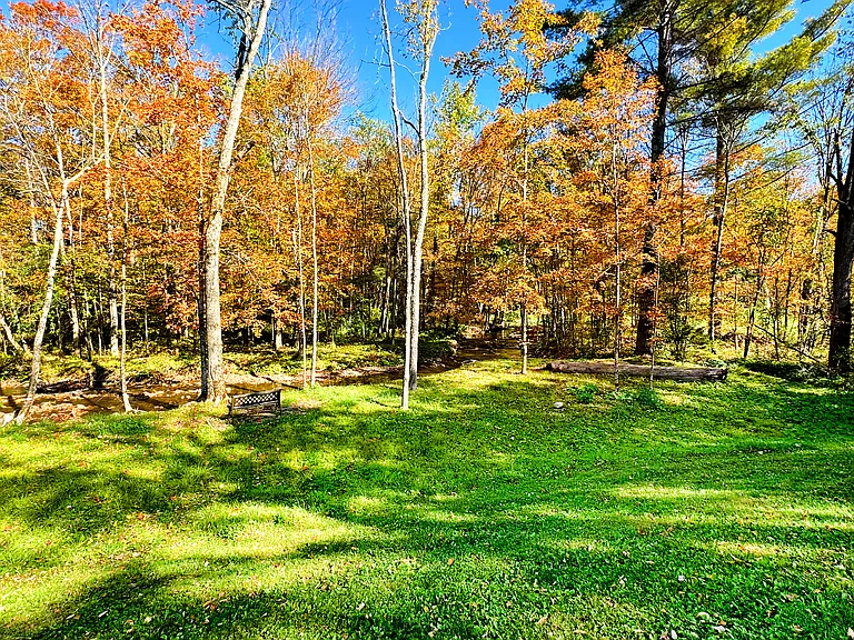 403 Lower Hollow Rd — Photo 32