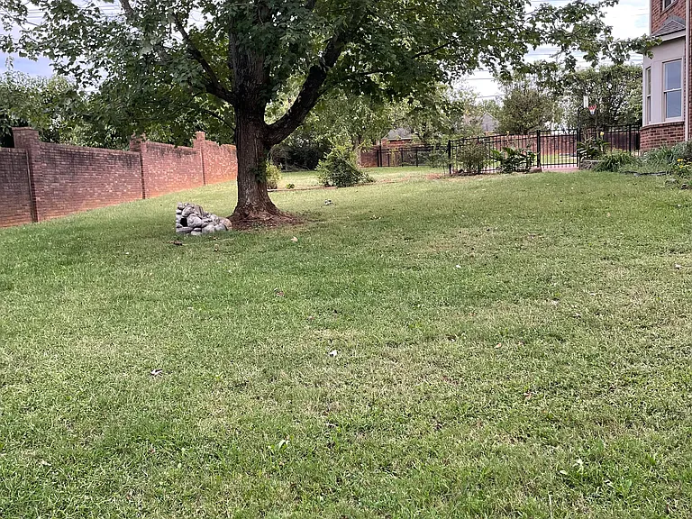 Fenced in back yard
