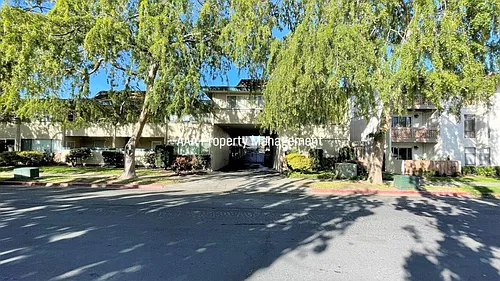 1731 Ellis St Photo 1