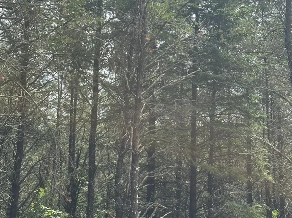 Near Cth Y S Rns Lot 1, Tomahawk, WI 54487