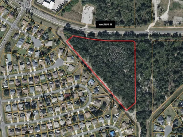 S/s Of Walnut St, Kissimmee, FL 34759