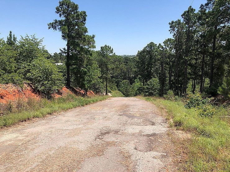 Bastrop Tx Land For Sale Real Estate Realtor Com