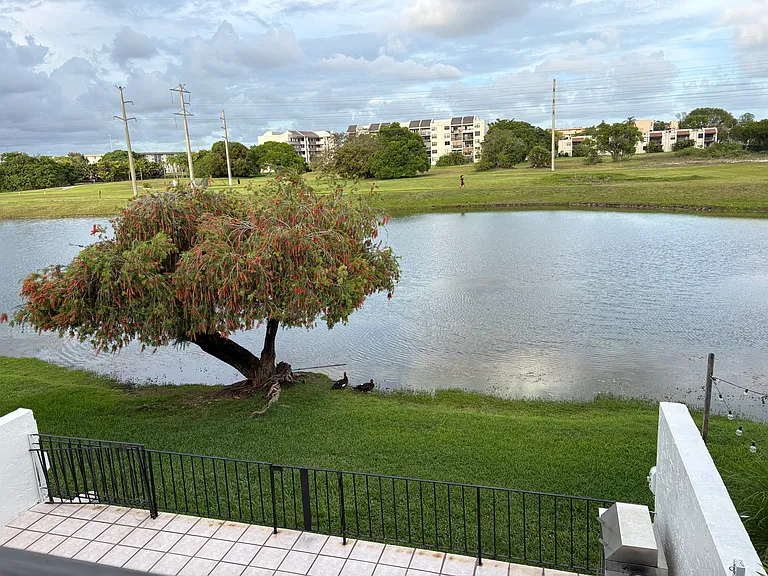 Fontainebleau Blvd — Photo 28