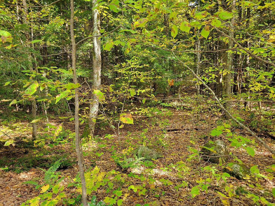 2nd image of Lot #25.5 Crocked River Causeway