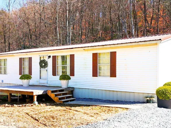 1290 Bluets Rd, Newport, TN 37821