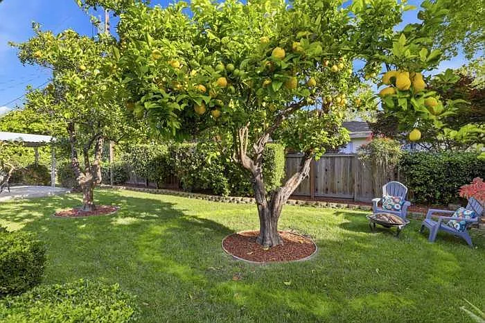 1670 Andalusia Way — Photo 30