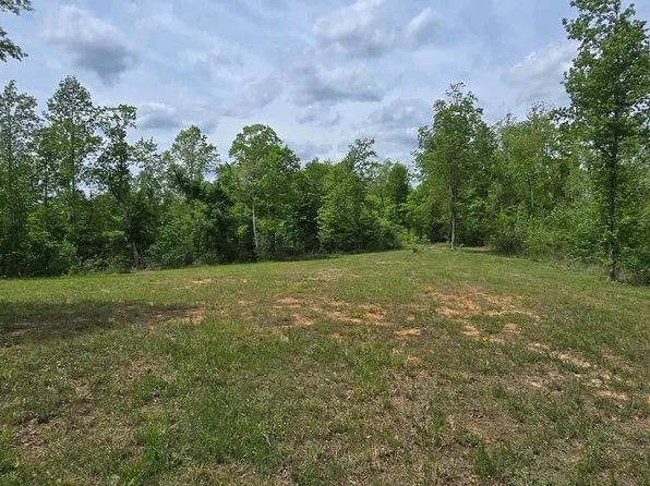 5200 Silerton Rd, Henderson, TN 38340