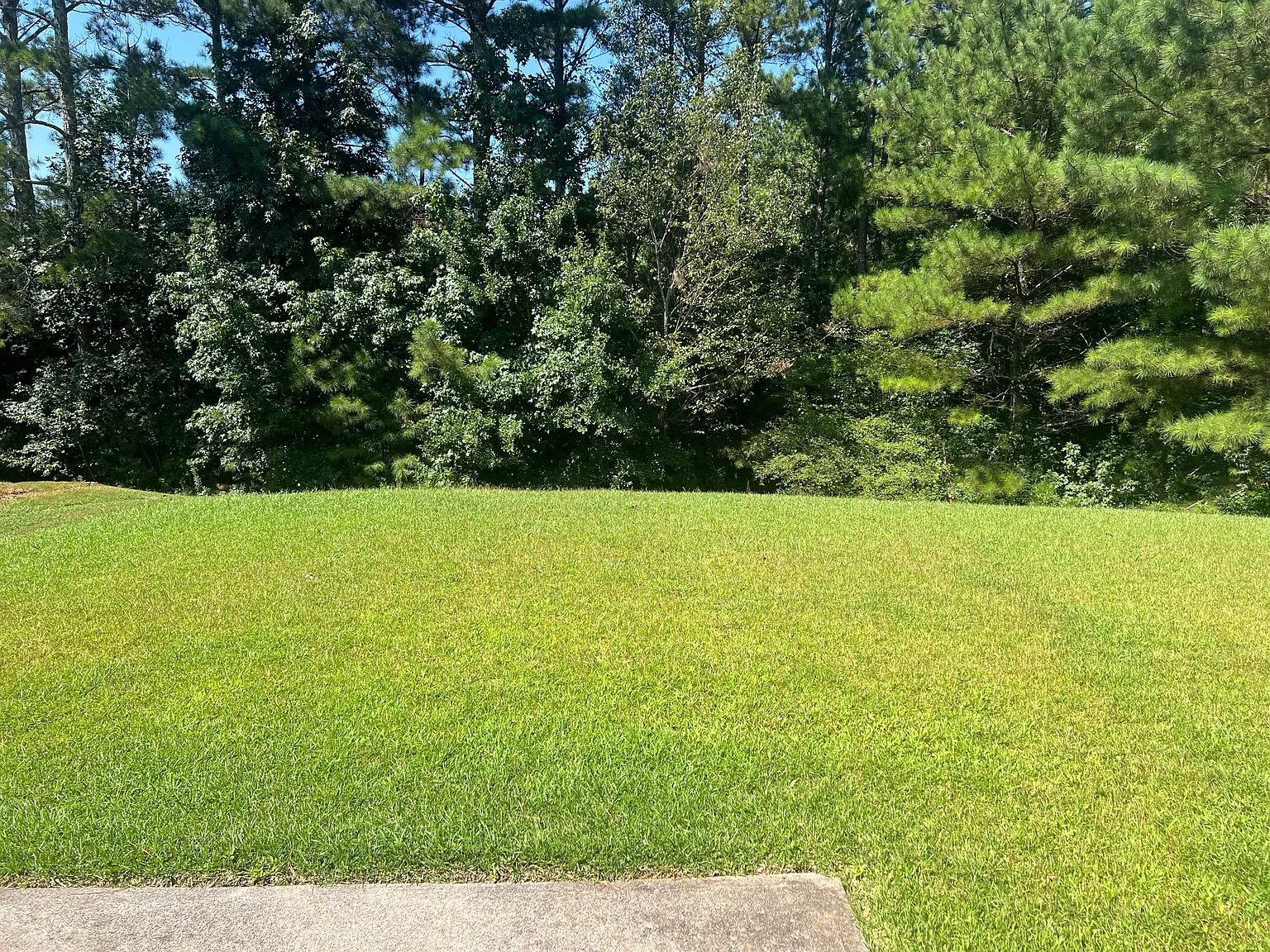 3 bed, 1488 sqft, $1,950 — Photo 4