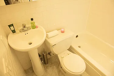 Rented by Distinct NYC