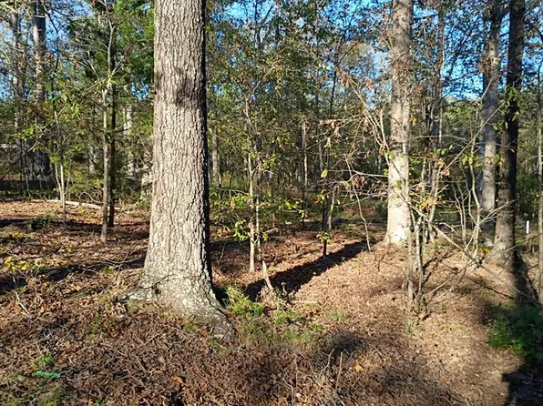 102 Hill Top Rd, Big Sandy, TN 38221