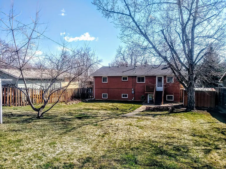 Enormous Back Yard