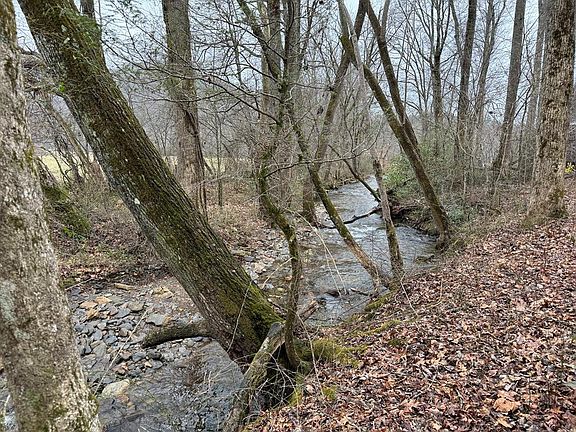 5th image of 16 & 17A Meadow Creek Dr
