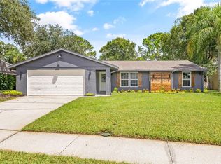 313 Fairwood Ct, Oldsmar, FL 34677