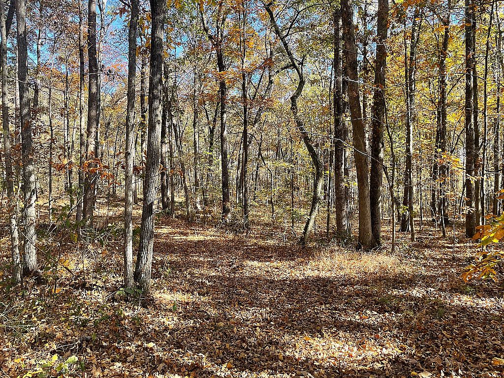 31 569 TR 1 Hurt Bridge Rd, Cumming, GA 30028 Zillow