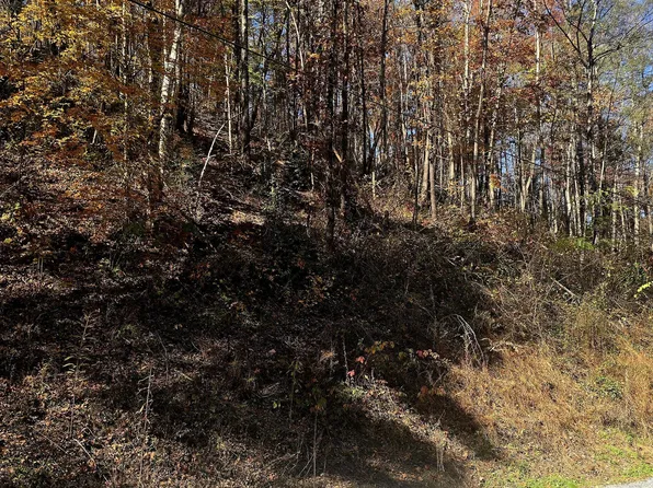 Emerald Springs Loop, Sevierville, TN 37862