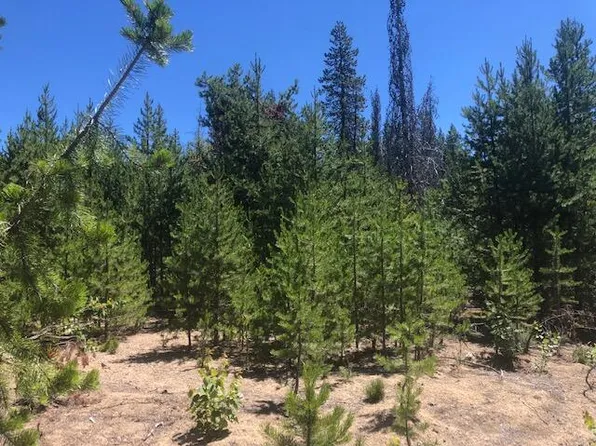 58 Royce Mountain Way, Crescent, OR 97733