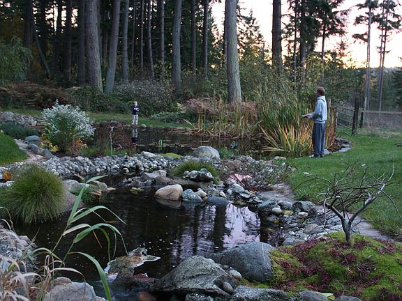"Fishing" In the Pond
