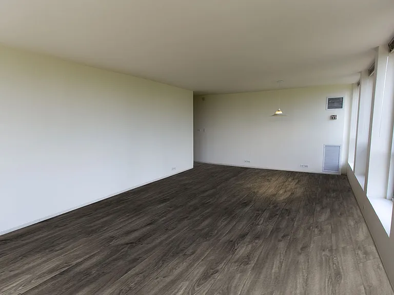 Dining/Living room