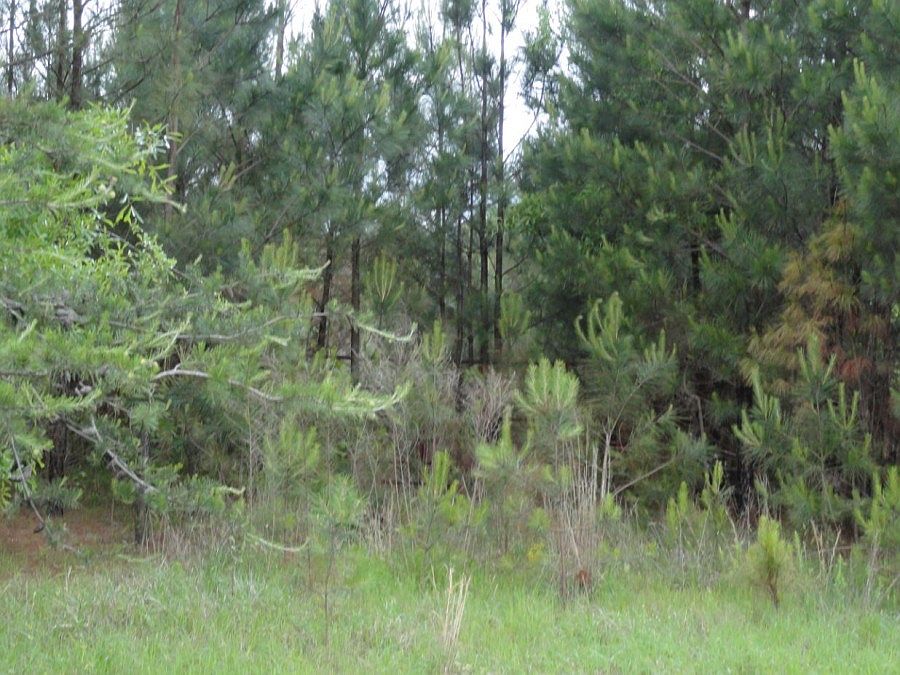 2nd image of 4933 Highway 81 N