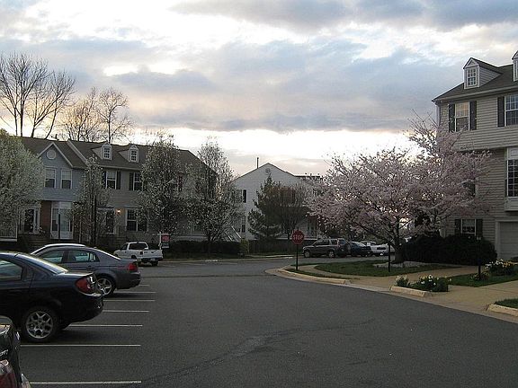 neighborhood caul de sac