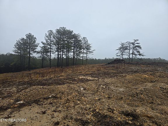 2nd image of LOT 13 Stirrup Ln