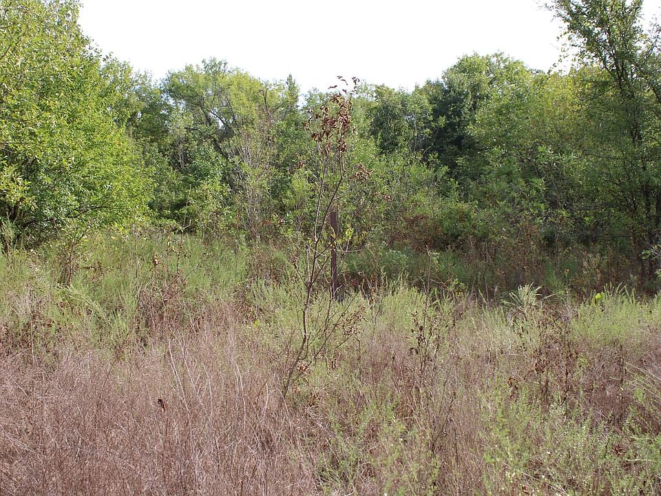 Img 0541 Jpg
