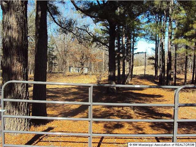 2nd image of 284 Rebecca Dr