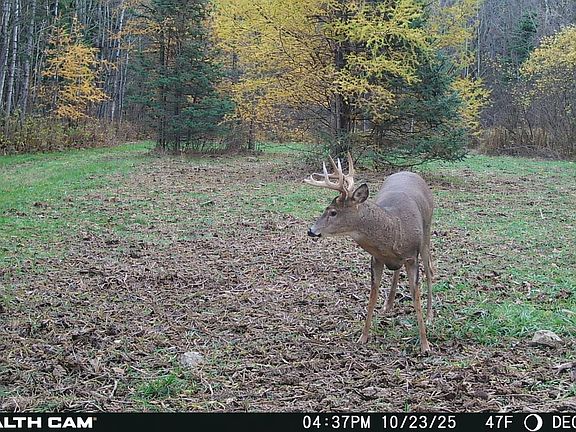 4th image of W13821 Lloyd Creek Rd