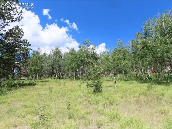 87 Deerfield Ln, Deerfield Ln, CO 80816