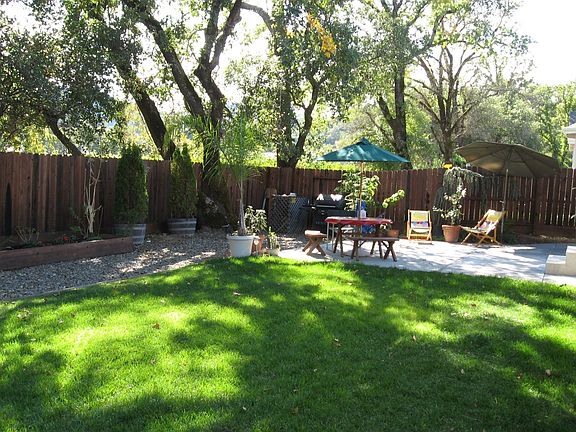 Large shade trees in the backyard