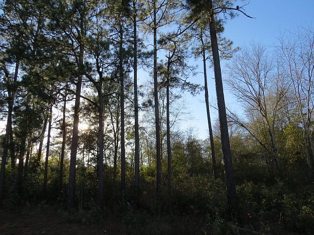 2nd image of 2962 Highway 441