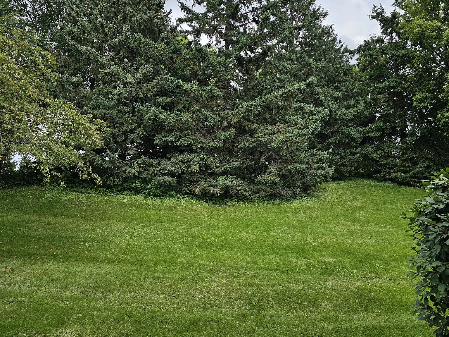 2711 Mallard Dr — Photo 4