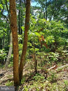 2915 Rodgers Ter, Haymarket, VA, 20169