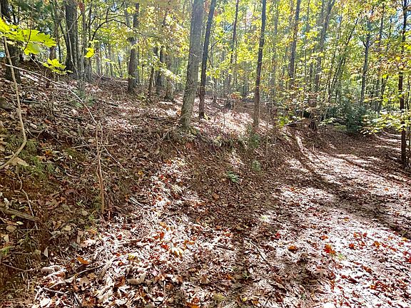 5th image of Lot 1,2 Royal Oaks Trail