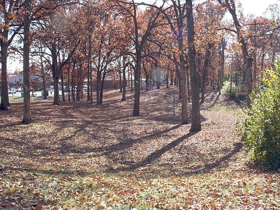 Home backs to park and school play ground