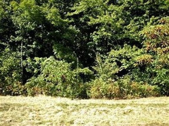 4th image of 13 Forest Dr