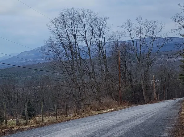 0 Route 20 & Prink Hill, Durham, NY 12423