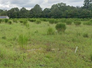 121/125 S Marion St, Pinewood, SC 29125